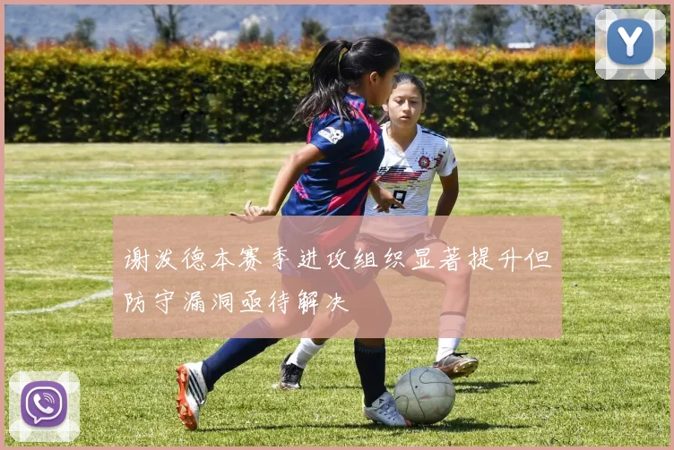 谢泼德本赛季进攻组织显著提升但防守漏洞亟待解决