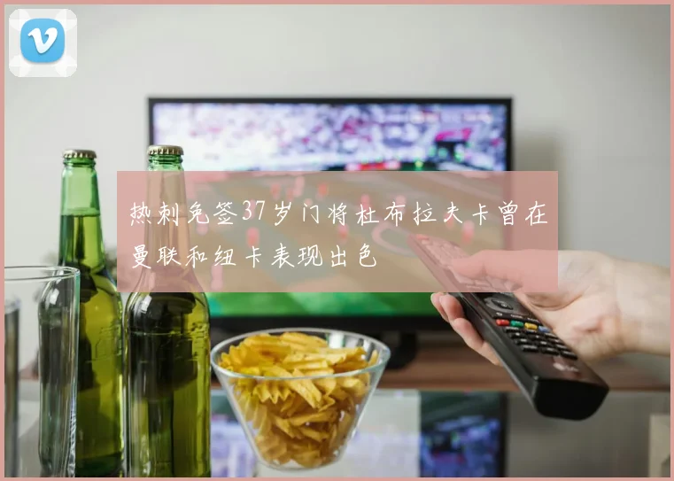 热刺免签37岁门将杜布拉夫卡曾在曼联和纽卡表现出色